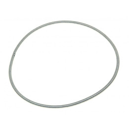 Anello AEG Fissaggio Interno Guarnizione Lavatrice 1240477024
