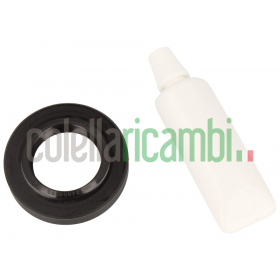 Anello AEG Tenuta Grasso Lavatrice 50095515008