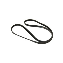 Cinghia Bauknecht 1248/1250 J5 Lavatrice 481935818152