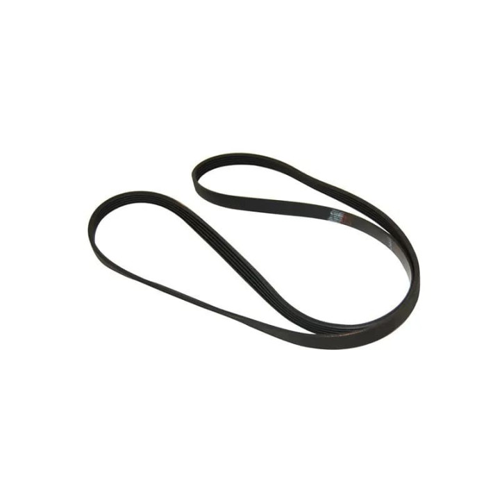 Cinghia Bauknecht 1248/1250 J5 Lavatrice 481935818152