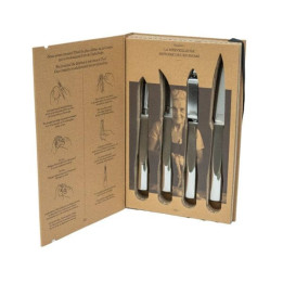 Set 4 Coltelli Acciaio Inox Originale Vorwerk Bimby