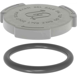 Coperchio tappo sale originale lavastoviglie Bosch Siemens 00611319