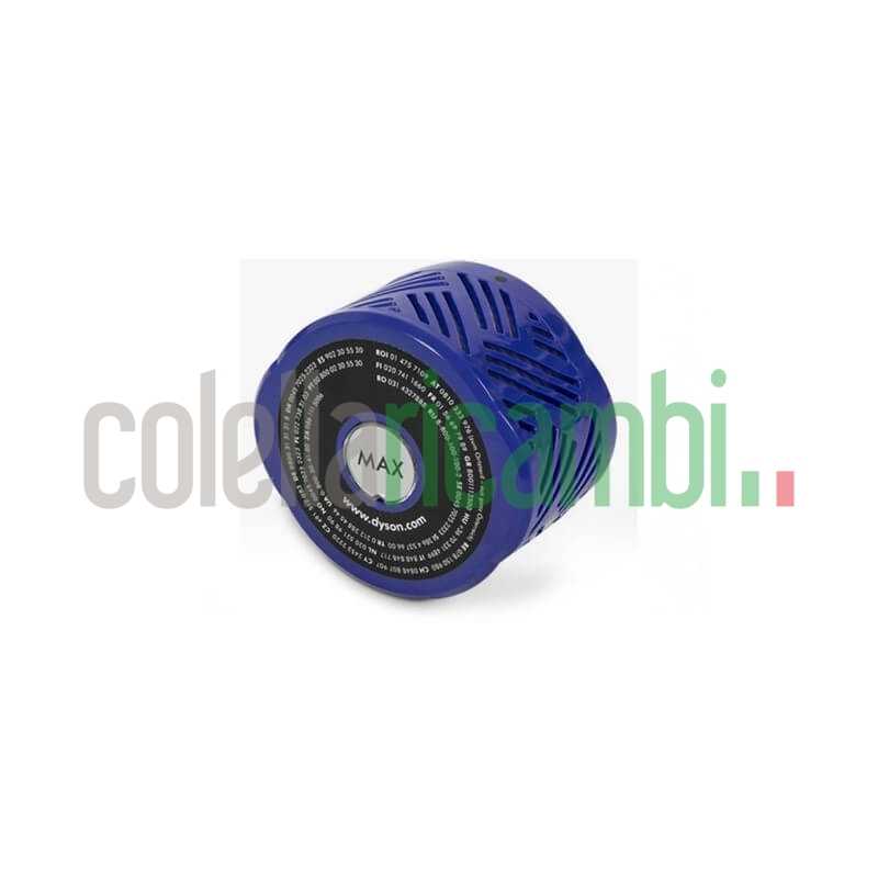 Filtro Hepa aspirapolvere SV09 Absolute compatibile Dyson 966741-01