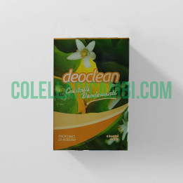 Deoclean Cristalli Deodoranti Profumo di Agrumi 6 buste da 50gr