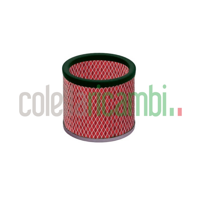Filtro Hepa di ricambio per aspiracenere Cenehot 14805017