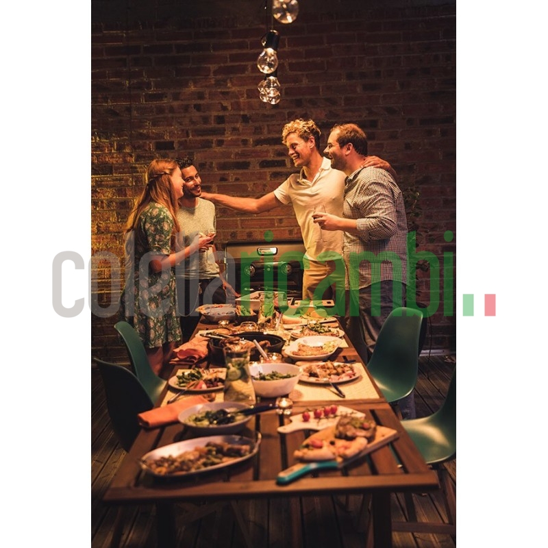 Campingaz Attitude 2100 LX Barbecue a Gas da Tavolo Nero Ghisa 5000W