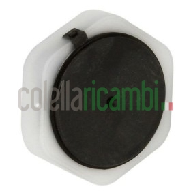 Piede Regolabile 2,3 Cm Lavatrice Whirlpool 488000533677