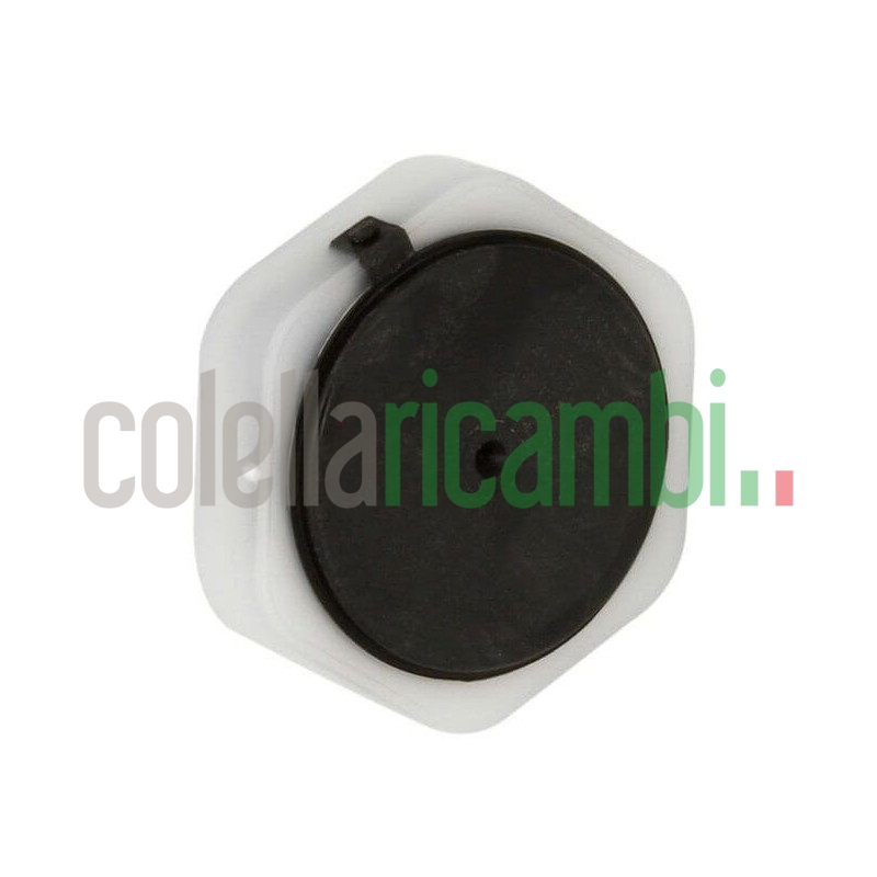Piede Regolabile 2,3 Cm Lavatrice Whirlpool 488000533677