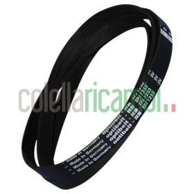 Cinghia per Lavatrice Indesit Ariston 1253J5 C00065333