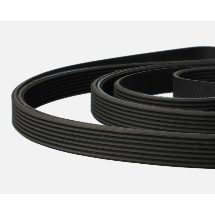 Cinghia 1965 H8 Asciugatrice Whirlpool 481235818154