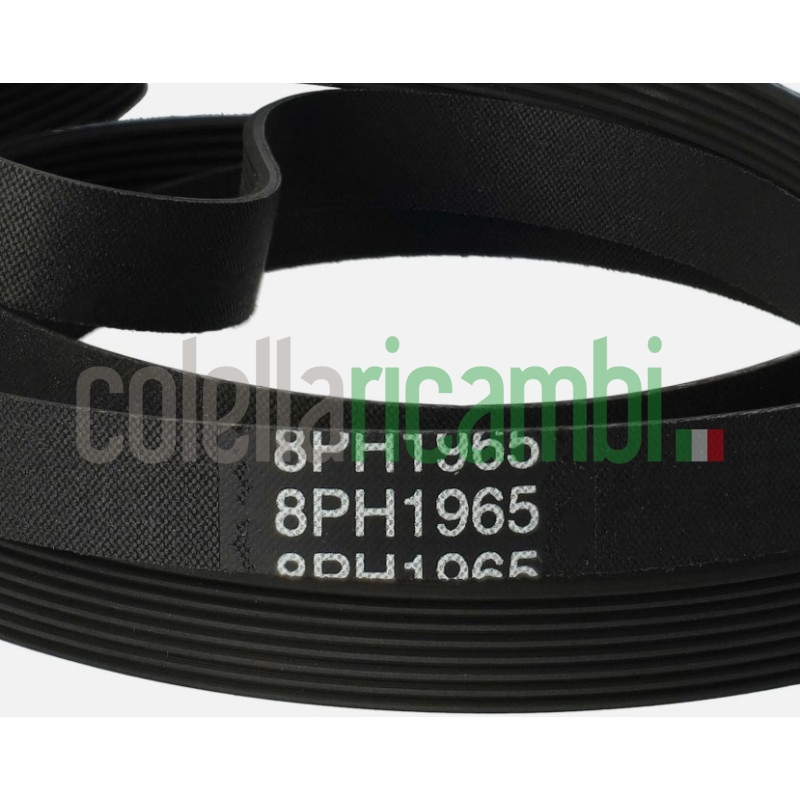 Cinghia 1965 H8 Asciugatrice Whirlpool 481235818154