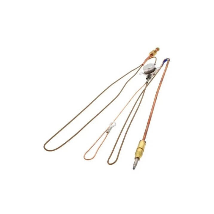 Termocoppia Assy per Forno Whirlpool Indesit 481010886603