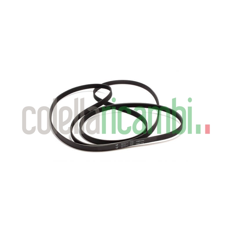 Cinghia 1965 H6 EH80 per asciugatrice Whirlpool 481235818186