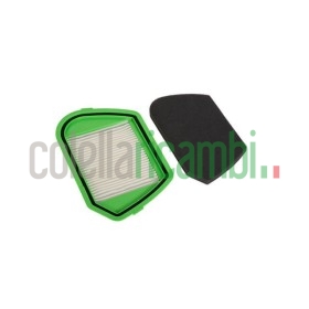 Kit filtro Hepa aspirapolvere Rowenta Cyclonic ZR005501