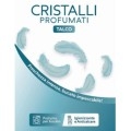 Profumatore Bucato Lavatrice - Talco (500g)