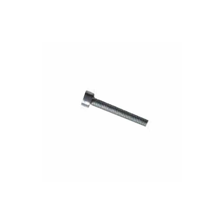 Vite Serraggio Siluro M4X25 Didiesse Frog