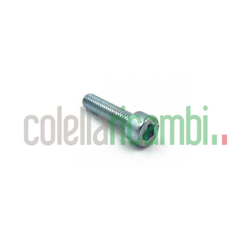 Vite a Testa Rettificata M6x16 Macchina Caffè Didiesse Frog