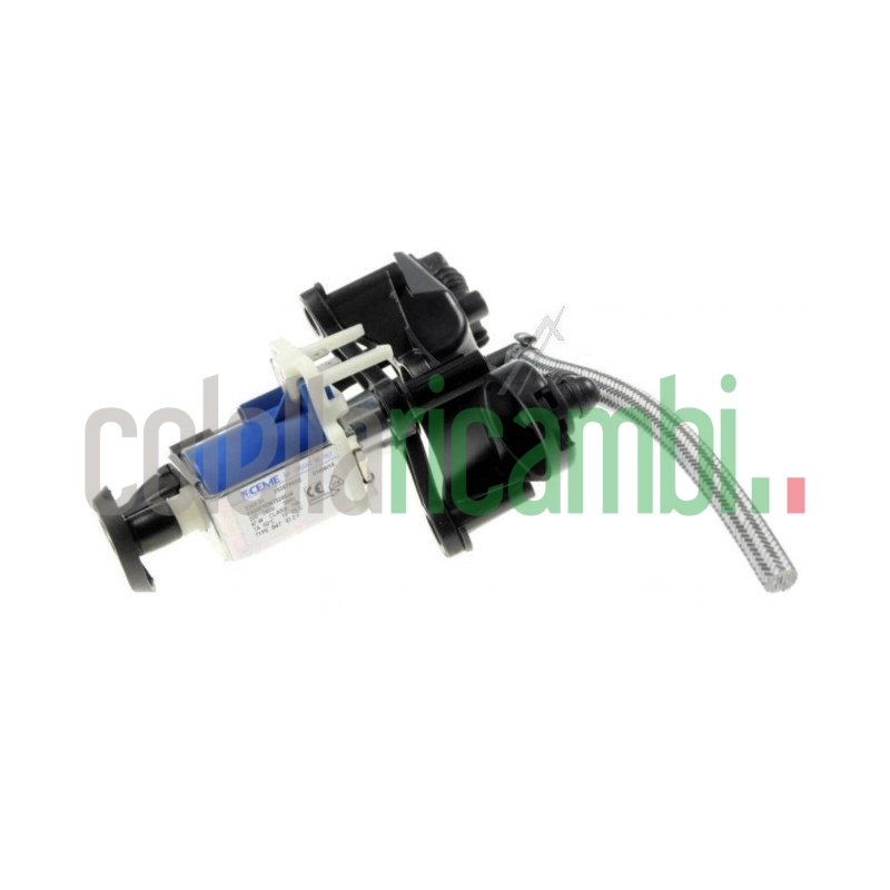 Pompa Completa Perfect Steam Originale Rowenta