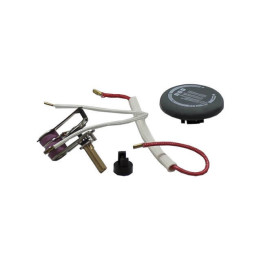 Kit Termostato Polti Vaporella 2H Professional SLDB2683