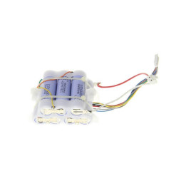 Batteria Aspirapolvere Originale Delonghi 5519210741