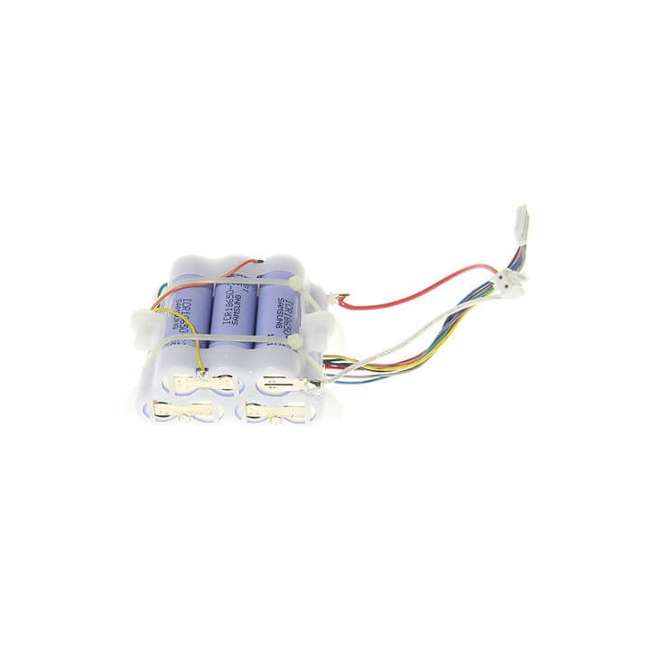 Batteria Aspirapolvere Originale Delonghi 5519210741