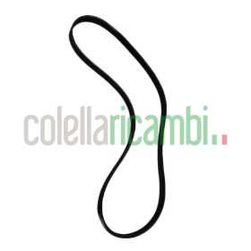 Cinghia 5Pje 1256 J292/22,6 Lavatrice ITWASH San Giorgio 04AG926