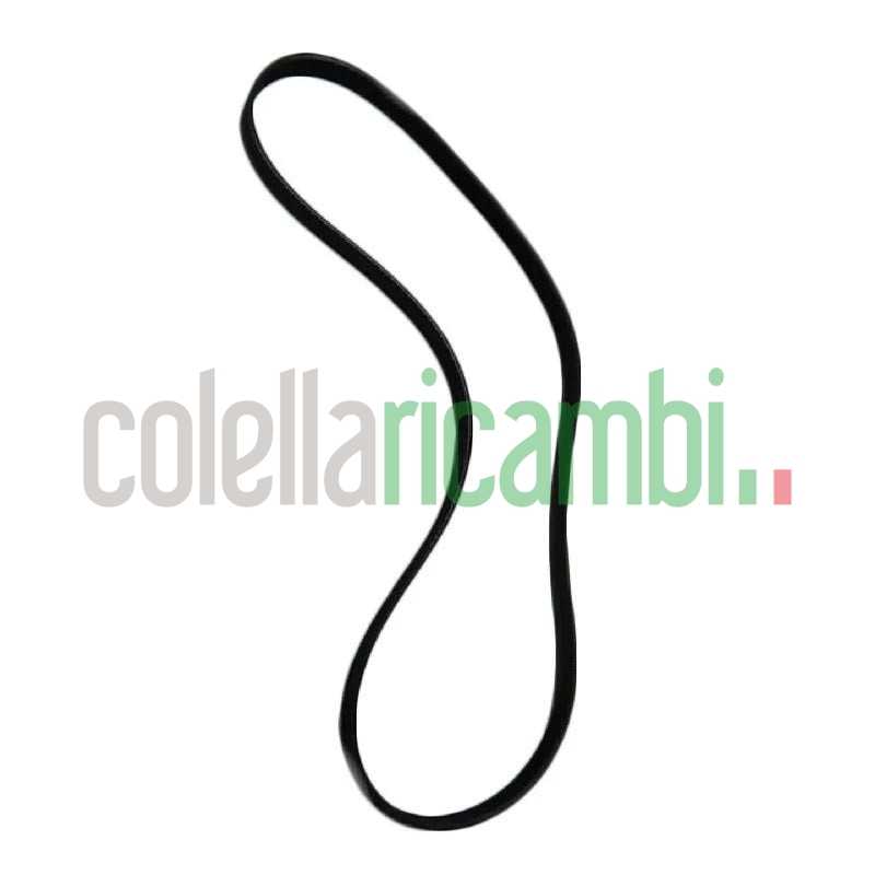 Cinghia 5Pje 1256 J292/22,6 Lavatrice ITWASH San Giorgio 04AG926