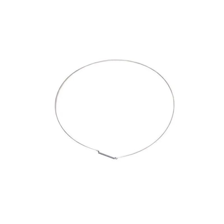 Anello Di Fissaggio Della Guarnizione Lavatrice Indesit C00119210