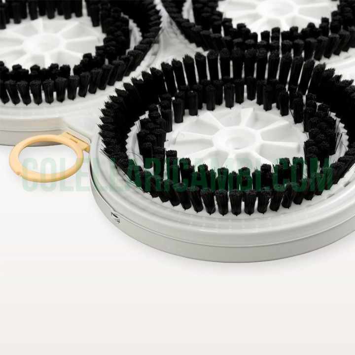 Modulo Pecari Lucidatrice Cuore PL515 Originale Vorwerk