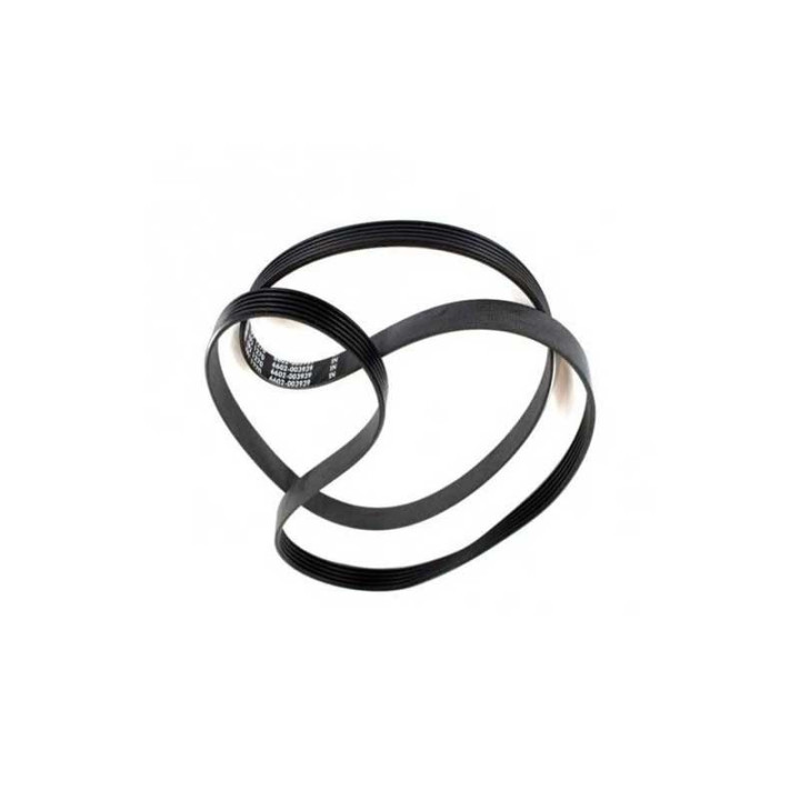 Cinghia Lavatrice SAMSUNG 6602-001497