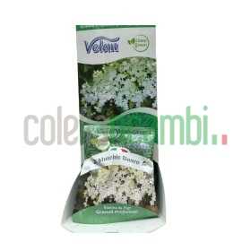 Dispencer Granuli Profumati Confezione 25 Bustine Muschio Bianco