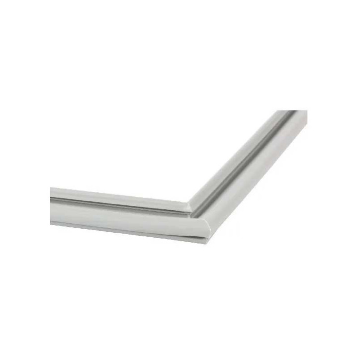 Vendita Guarnizione BOSCH Porta Frigo Frigorifero 248282