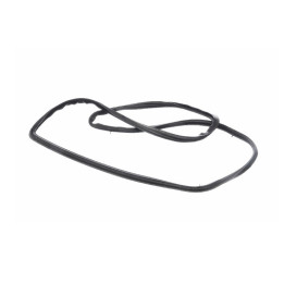 Guarnizione Bosch Porta Per Forno Forno 095253