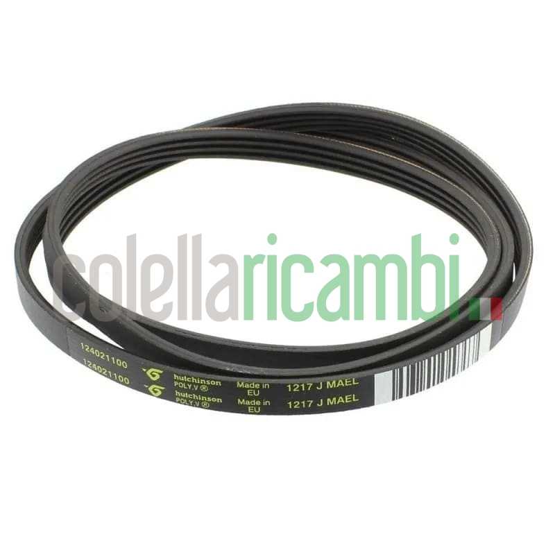 Cinghia Rex Lavatrice 1240211001