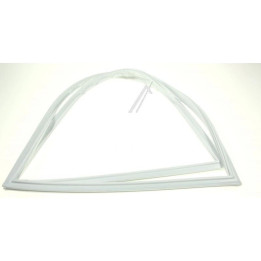 Guarnizione Bosch Porta Frigo Frigorifero 244043