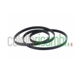Cinghia Bosch Lavatrice 264987